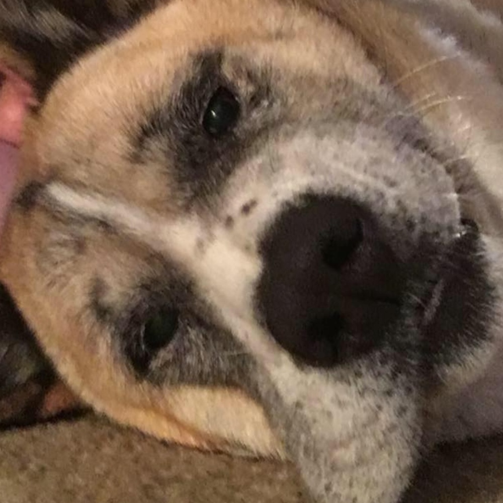 Meet your Posher, GG